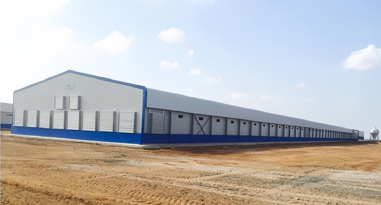 Prefab steel structure poultry farm
