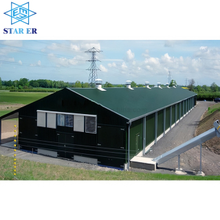 Steel structure chicken house