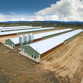 Steel structure chicken house