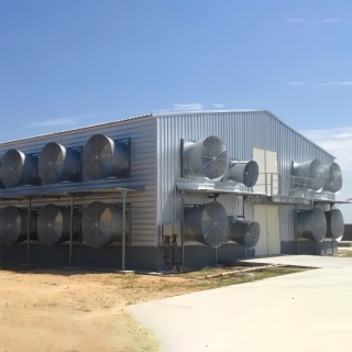 Steel structure chicken house