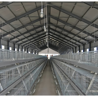 Steel Structure Animal breeding plants