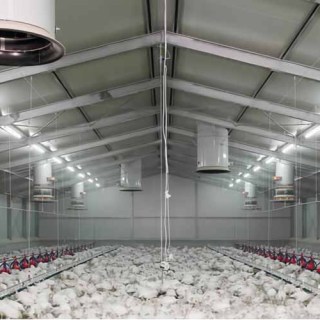 Steel Structure Animal breeding plants