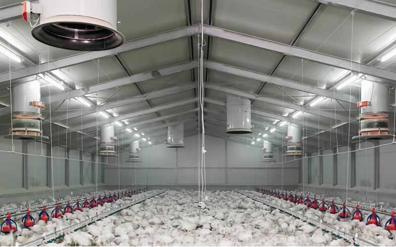 Steel Structure Animal breeding plants