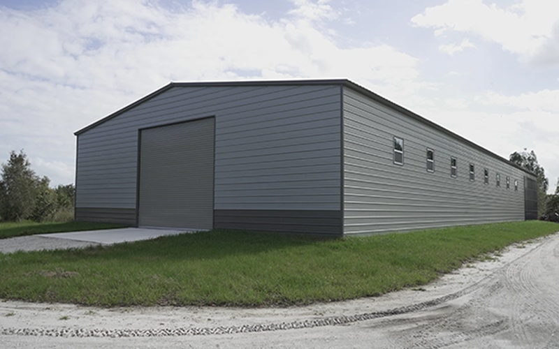Steel Structure Plants