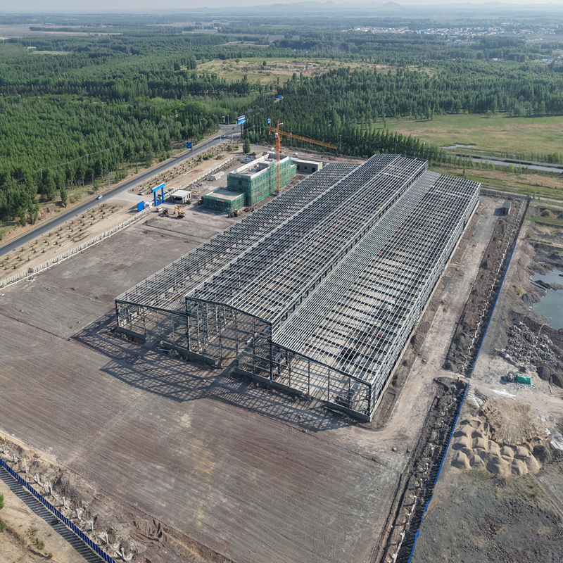 Steel structure plant