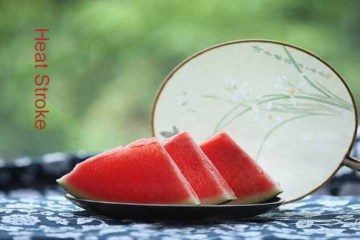 The 24 Chinese Solar Terms---Small Heat Stroke