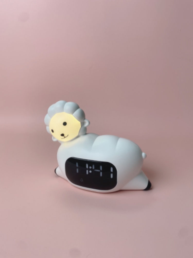 Netherlands cooperative customer 2