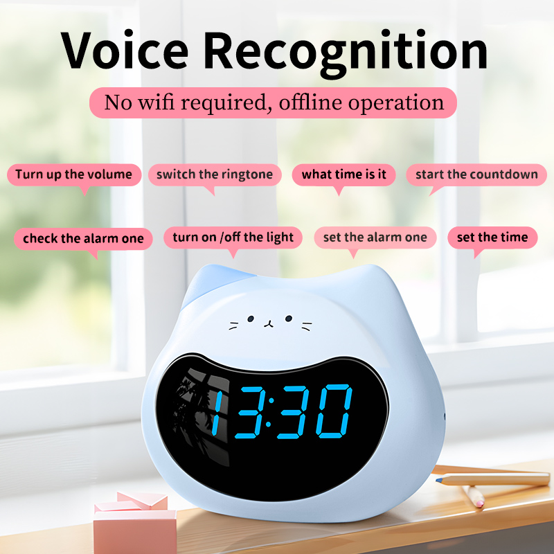 Three groups of alarms (with 5-minute snooze function)