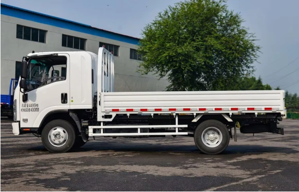 Isuzu Cargo Truck