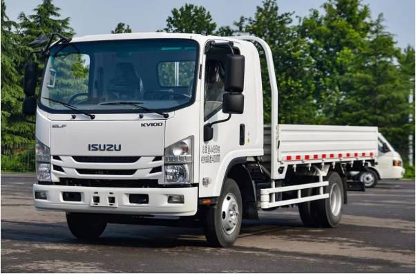 Isuzu Cargo Truck