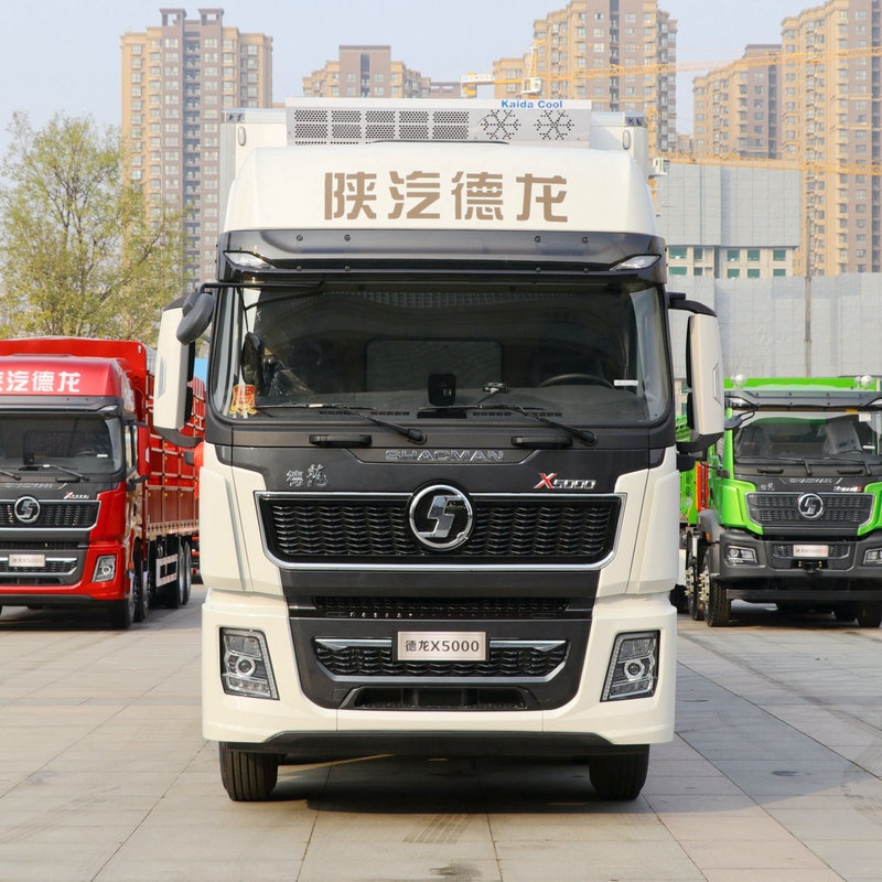 Camión frigorífico Shaanxi Auto Heavy Duty Delong X5000 8X4 de 9,4 metros