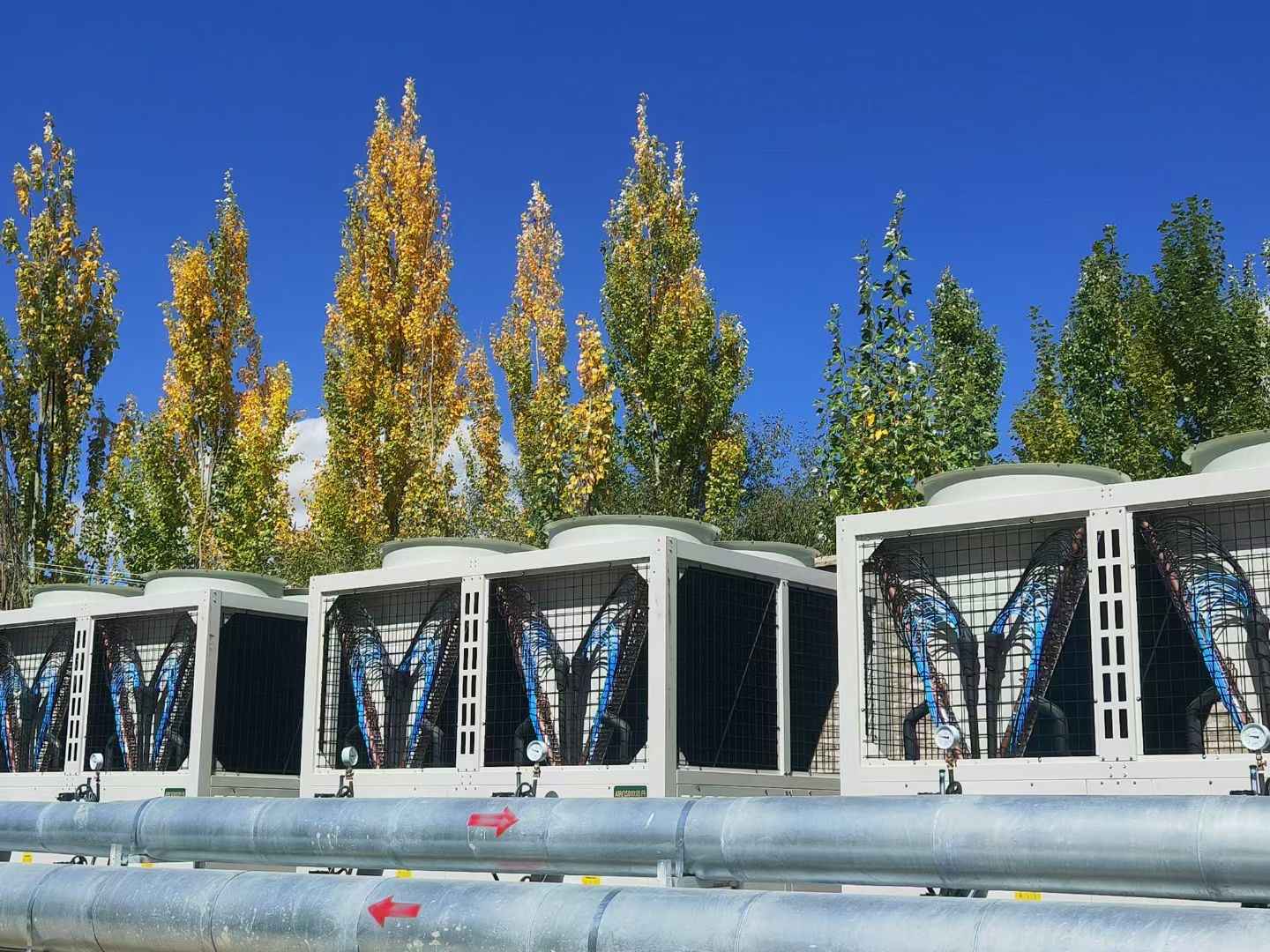 AIROSD: The Guardian Against Extreme Cold, Uncompromising Warmth