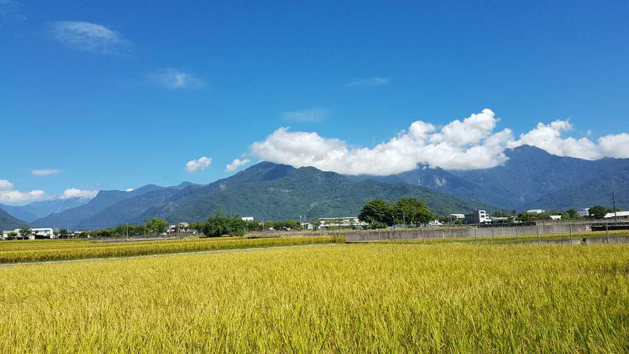 AIROSD Air Source Heat Pump: Advanced Heating & Cooling Solutions