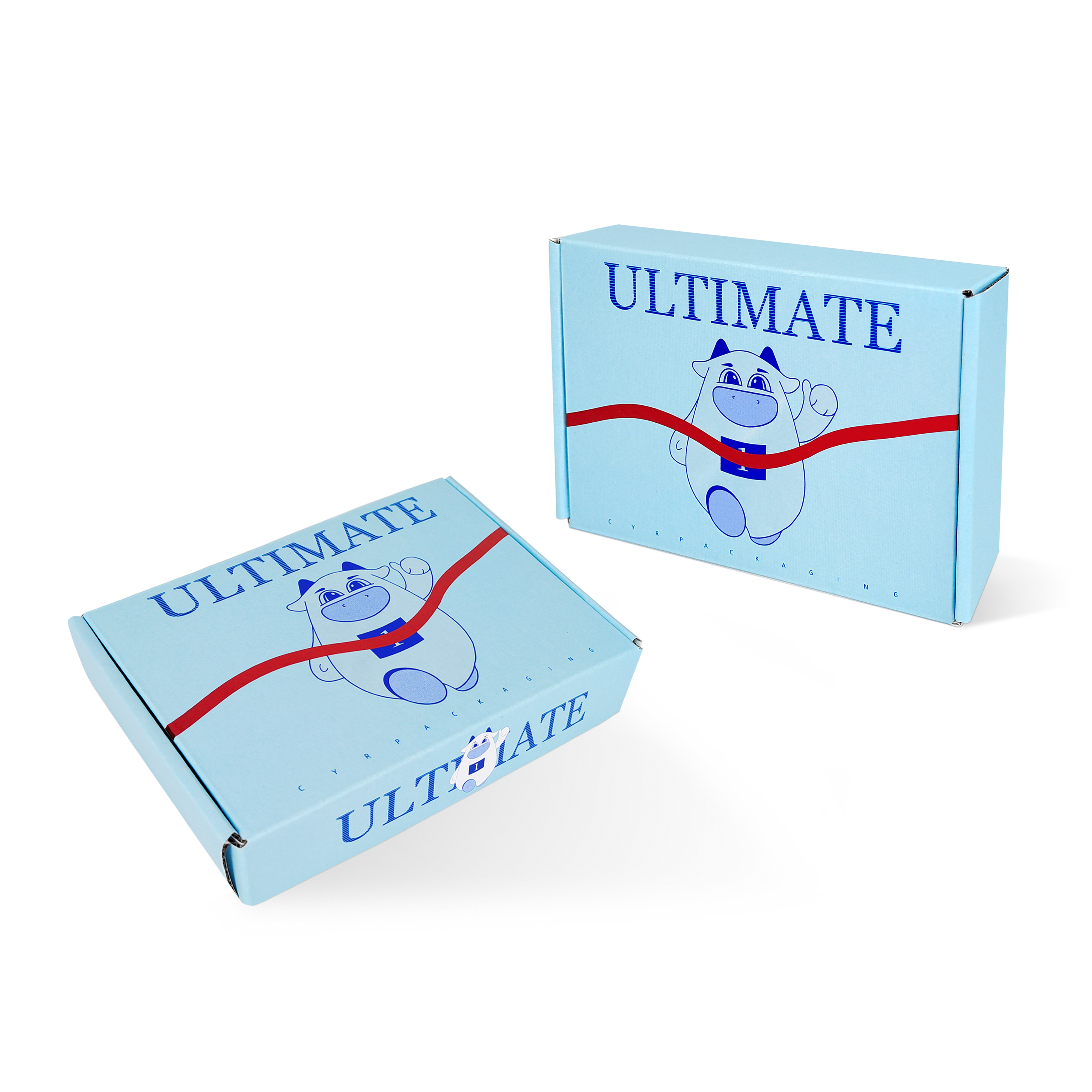 Personalised Folding Boxes For Apparel
