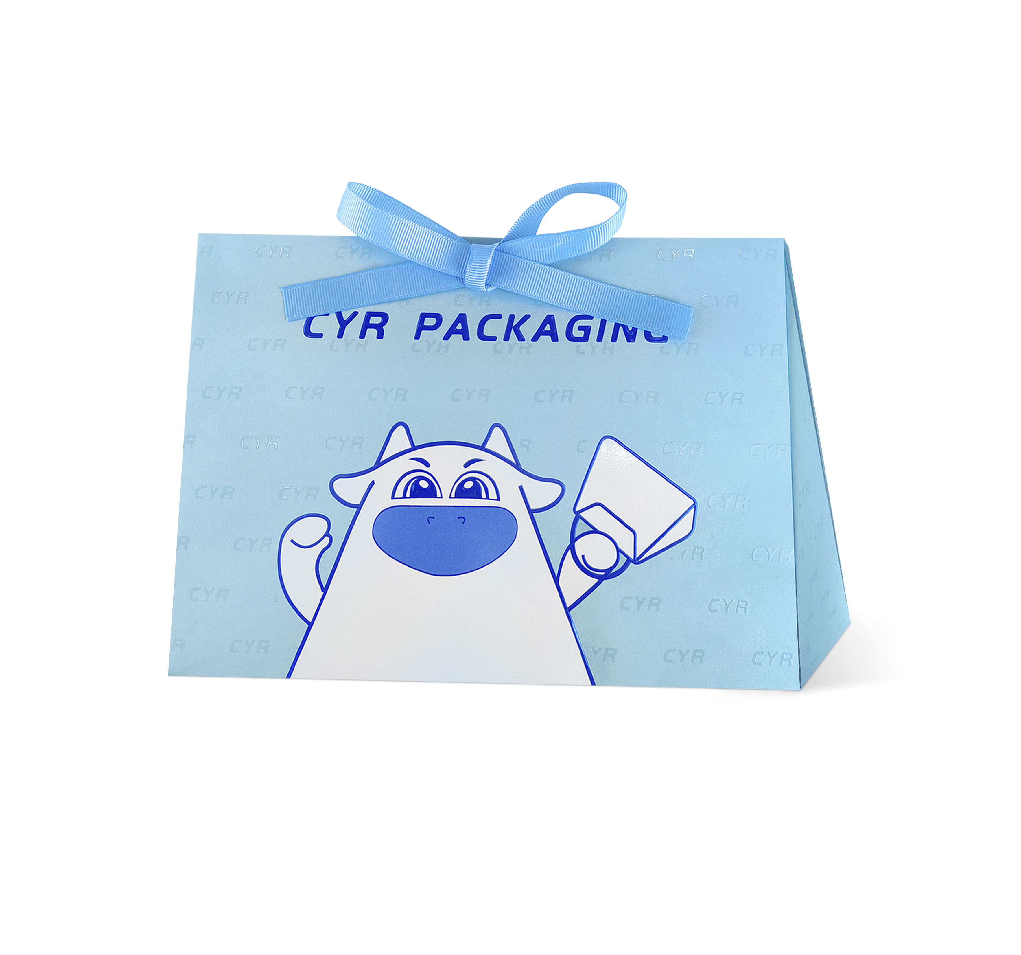 Printed Triangle Bag With Paper Rope