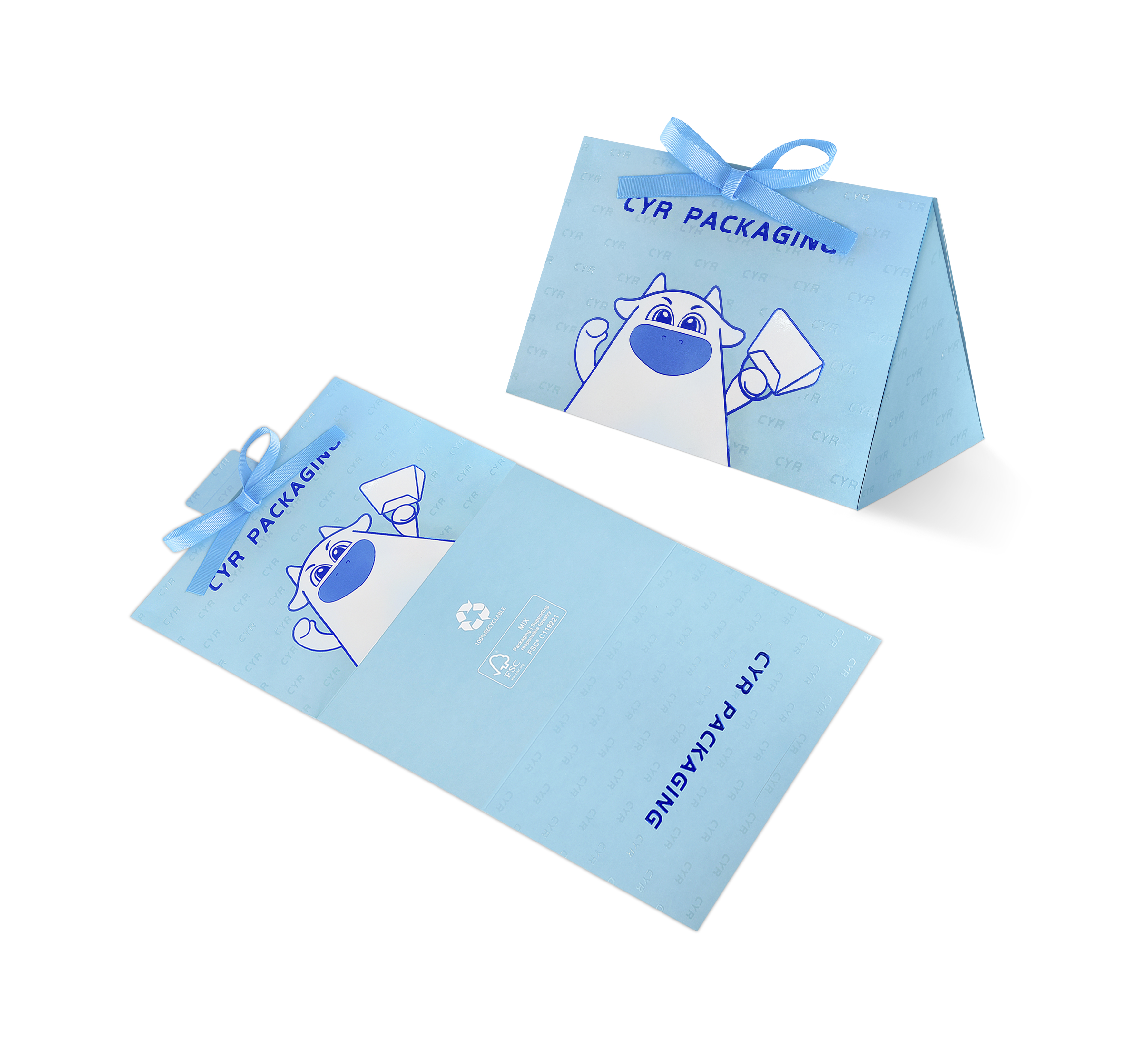 Printed Triangle Bag With Paper Rope