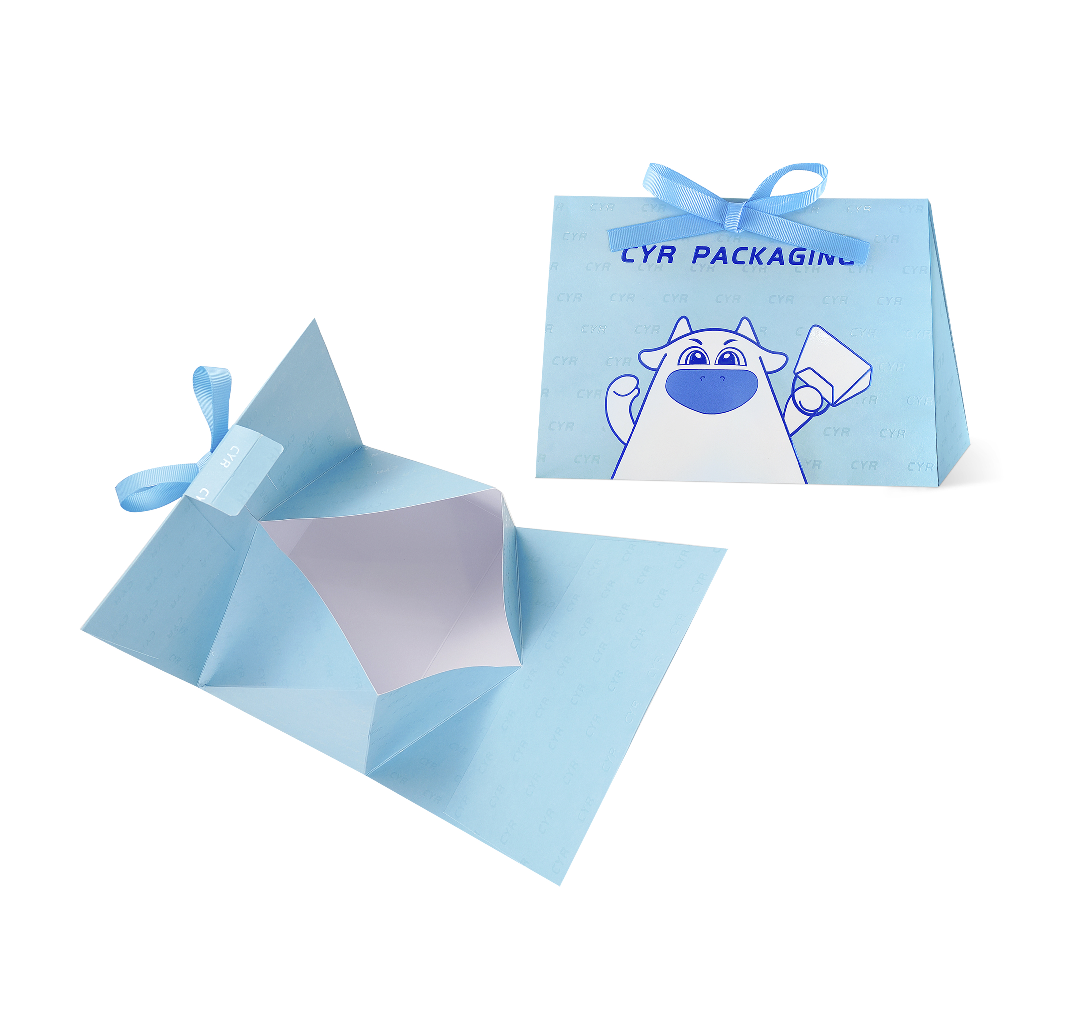Printed Triangle Bag With Paper Rope