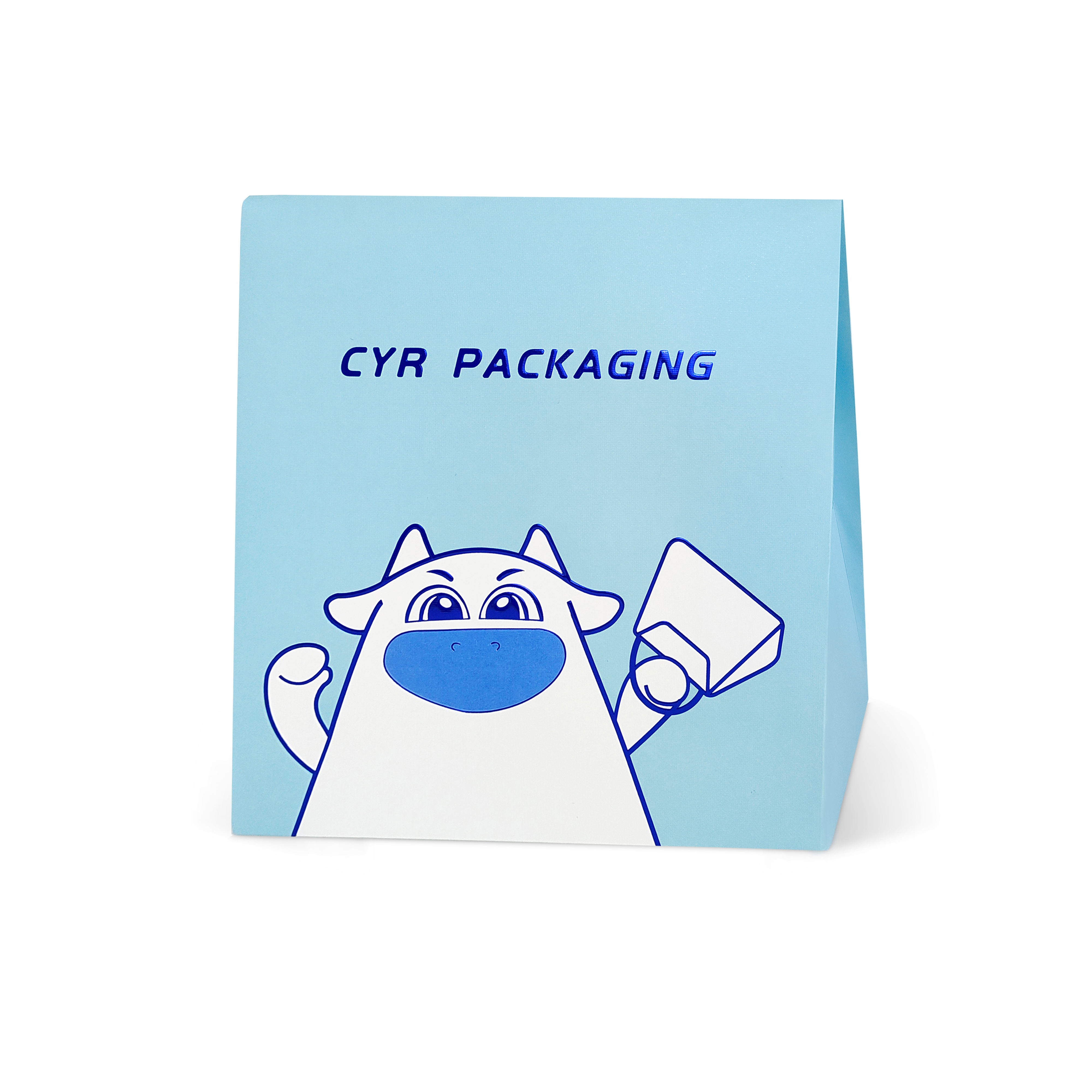 Blue Paper Pouch For Gift