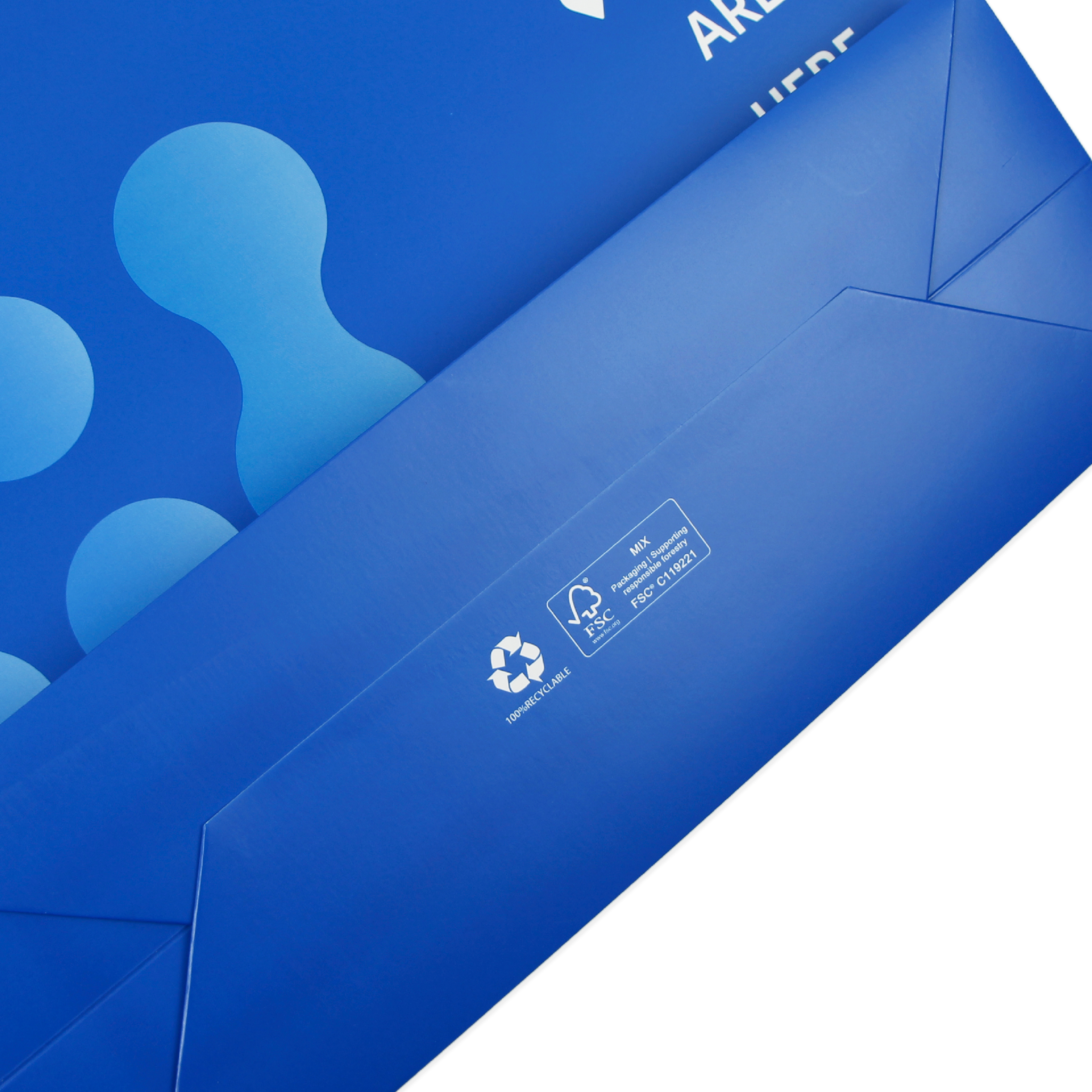 blue paper gift bag