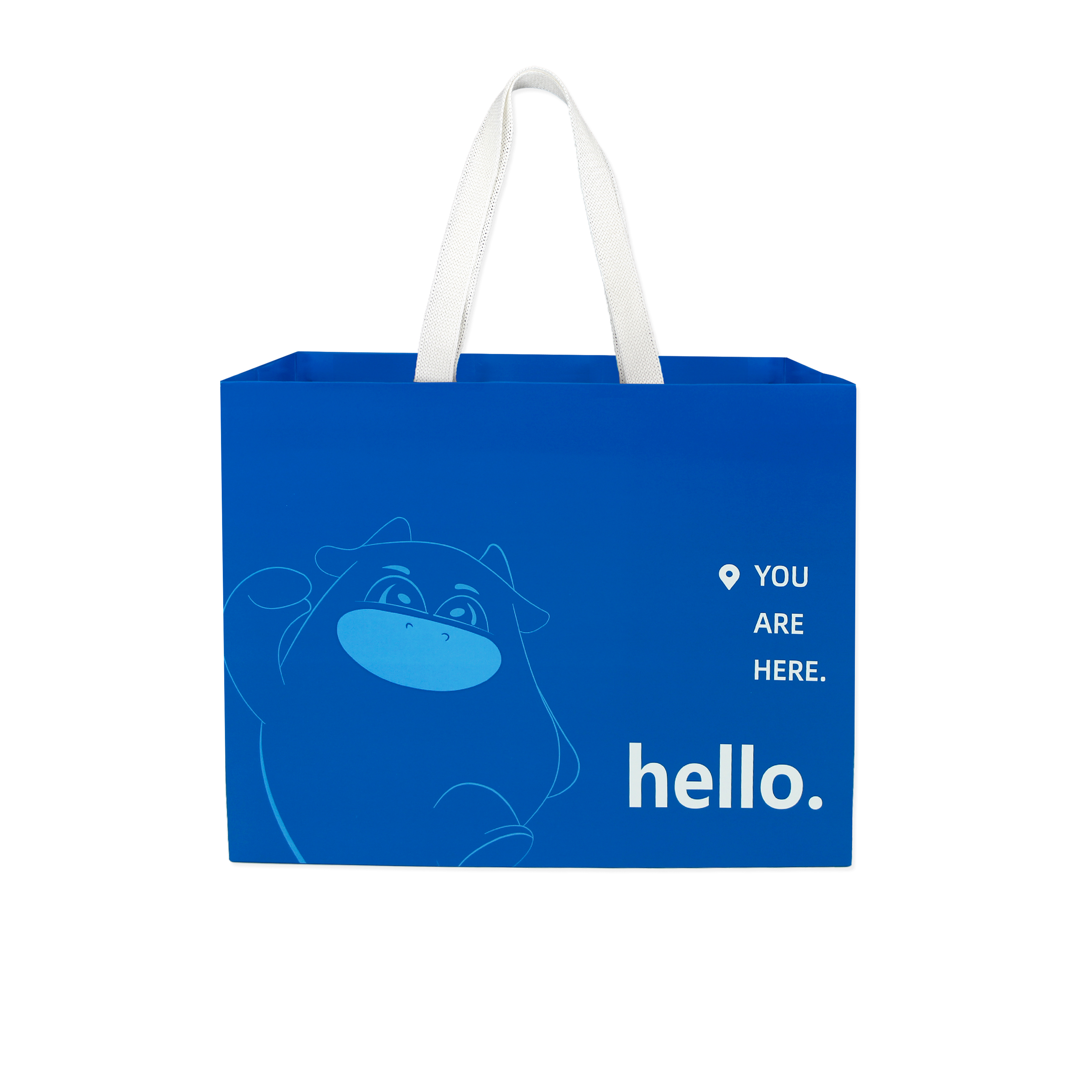 Recycled Blue Paper Bag For Gift