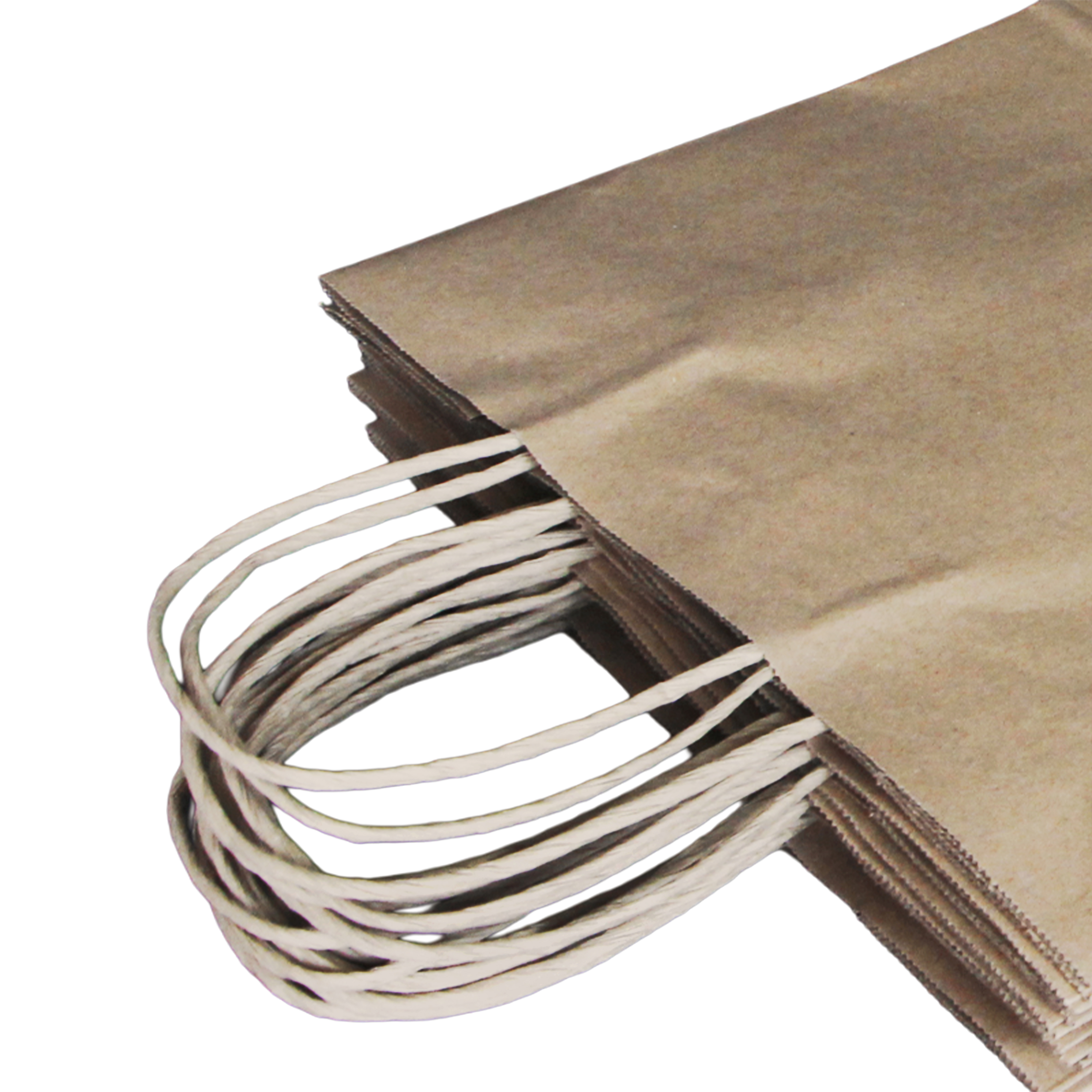 Recycled Kraft Paper Bag With Twisted Handle