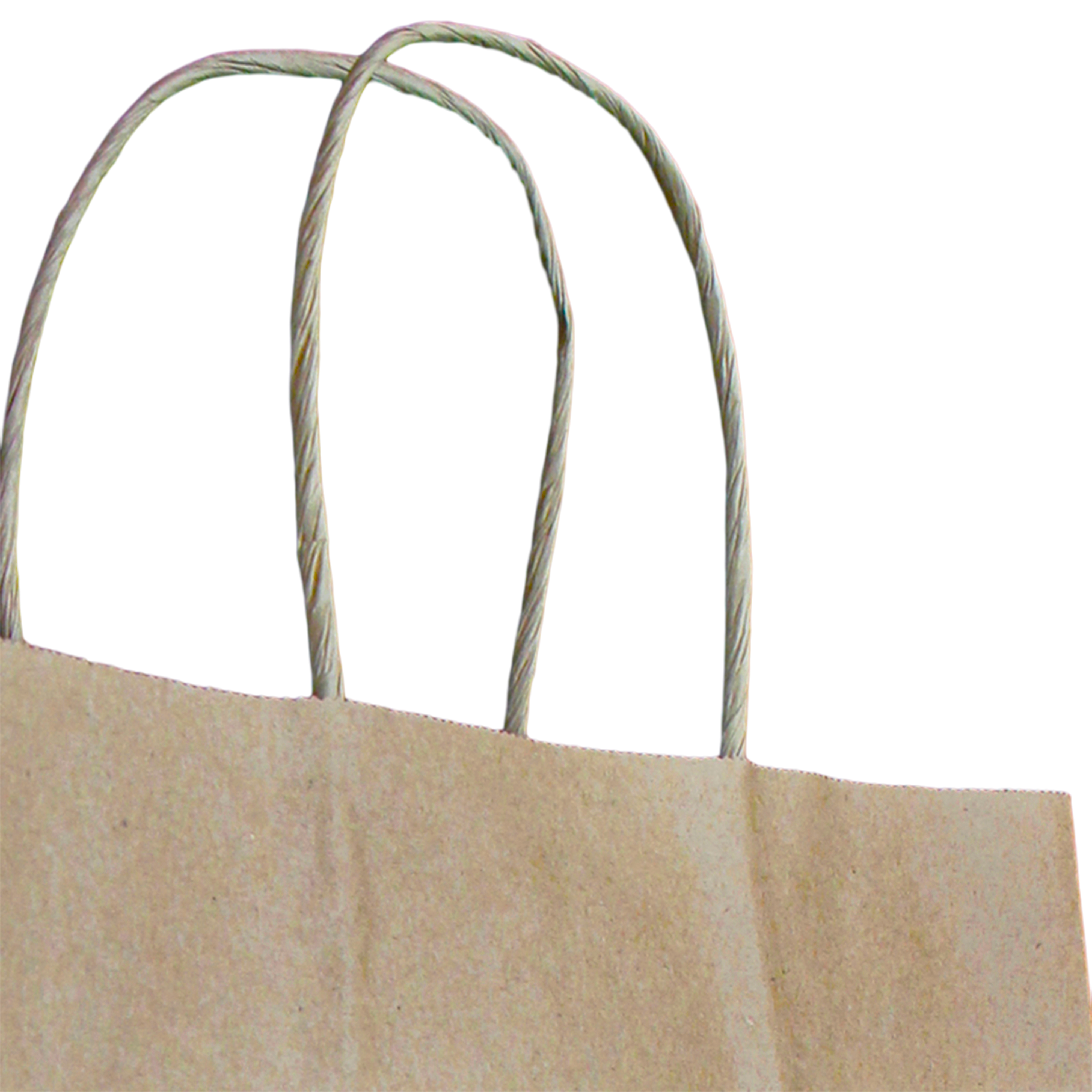 Recycled Kraft Paper Bag With Twisted Handle