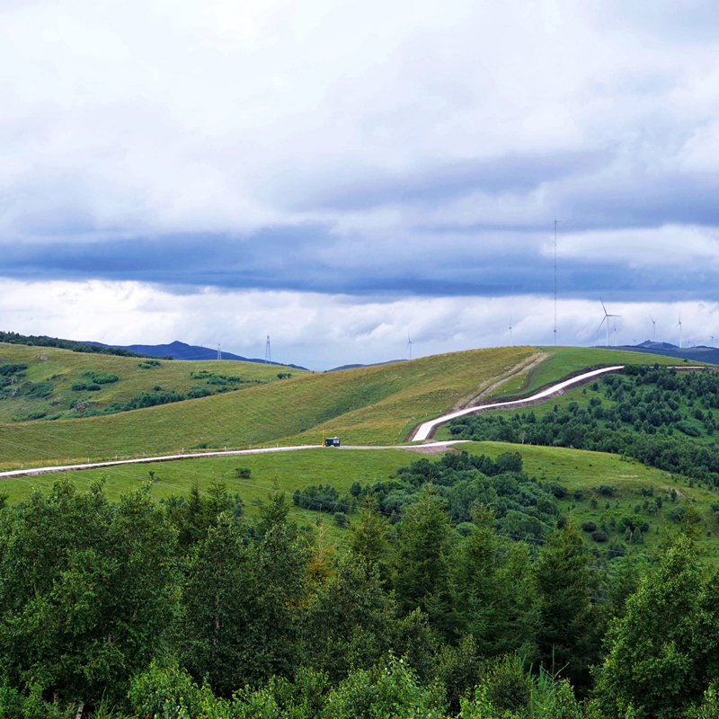 Green future, Better world——CYR supports fengning windbreak forest restoration.