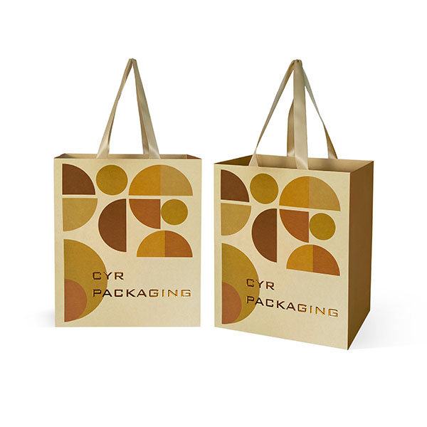 Luxury Bamboo Paper Bag