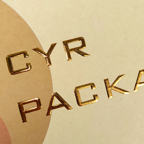 Luxury Bamboo Paper Bag