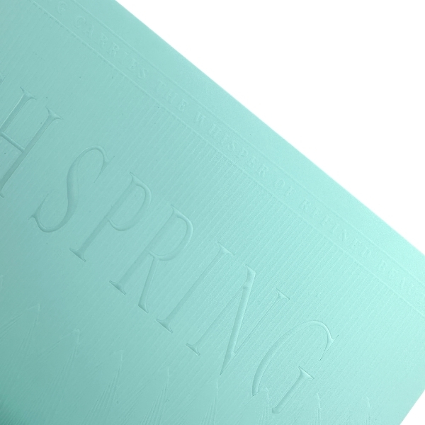 Luxury Paper Bag With Ribbon for Cosmetics