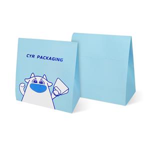 Custom Paper Bag Solutions for European Retailers