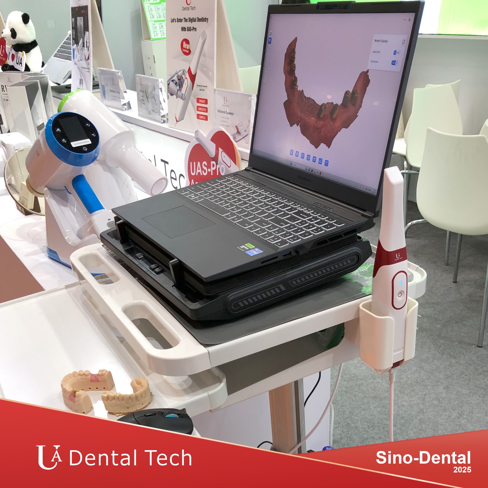 SINO-Dental 2025 · BEIJING