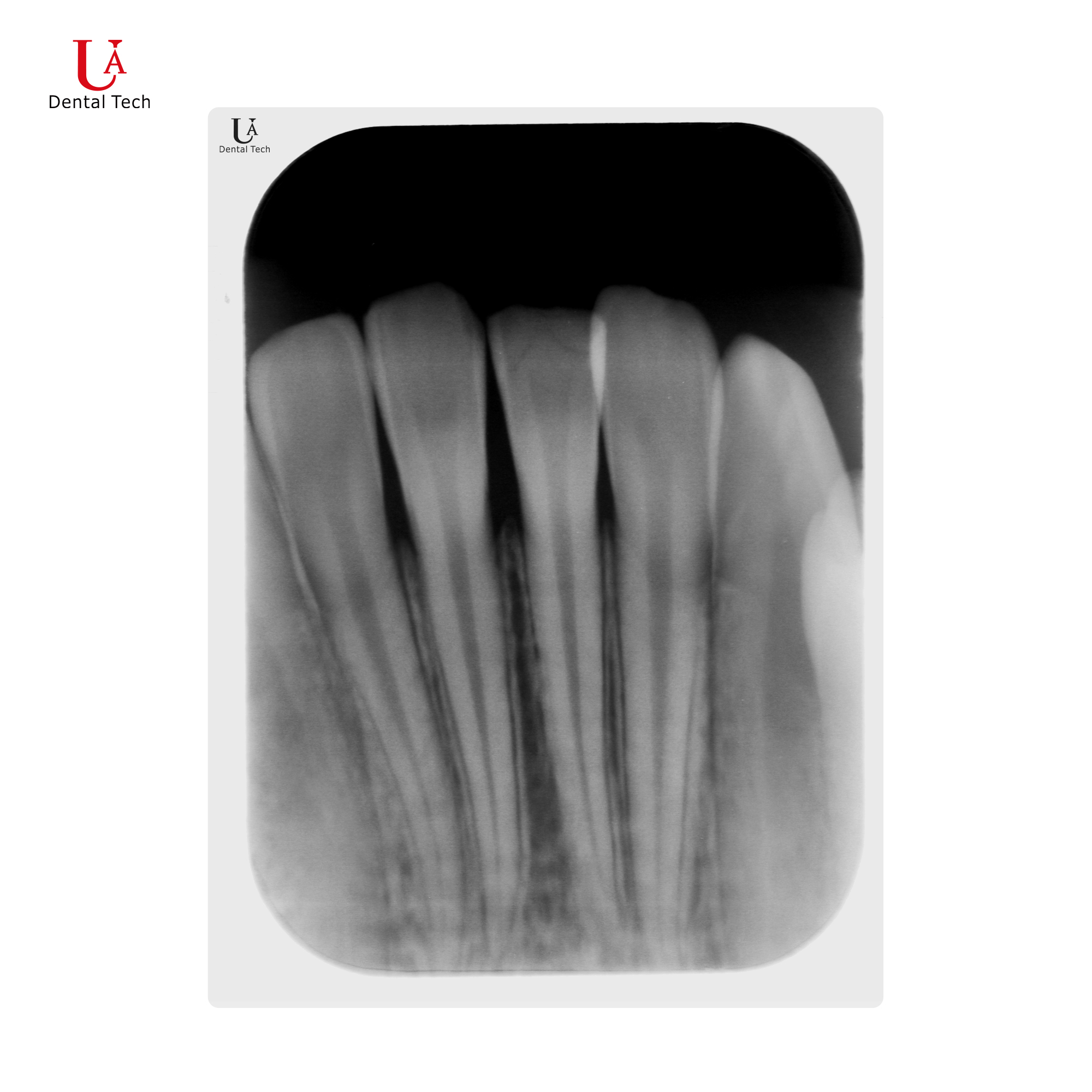 U-Scanner Image Acquisition System