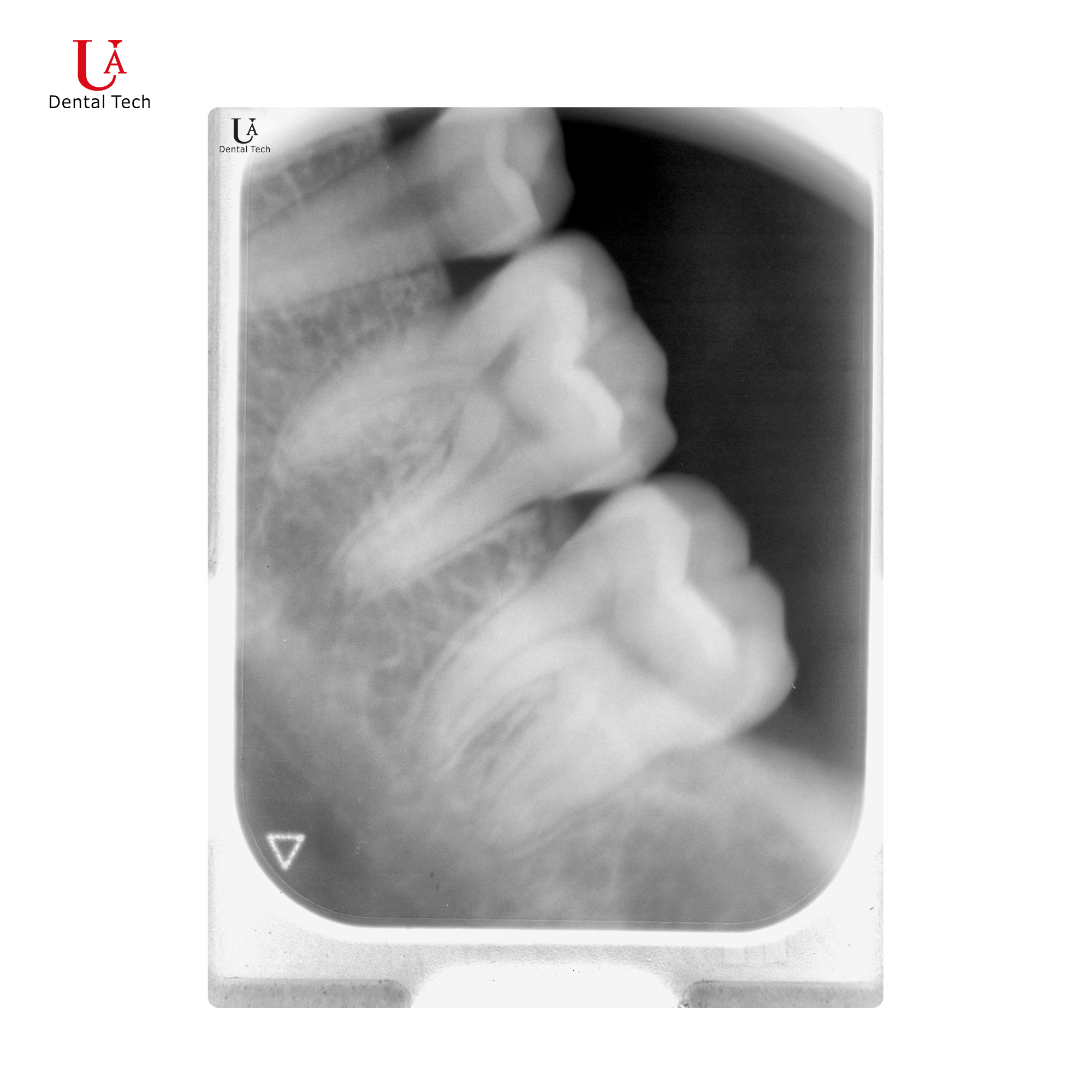 U-Scanner Image Acquisition System