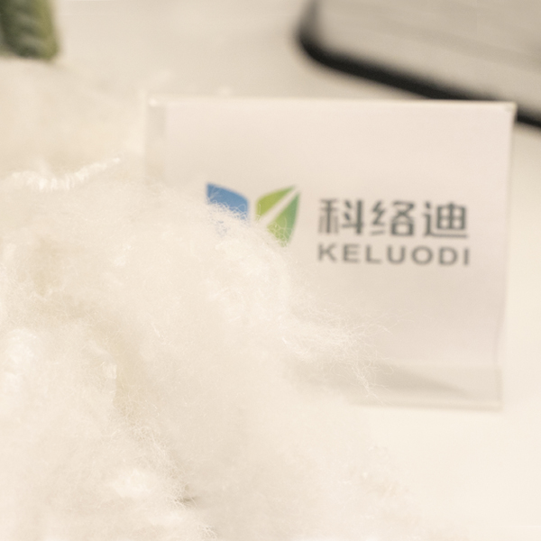 Two Dimensional Silicon Free