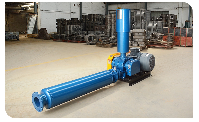 Particle powder silo pump