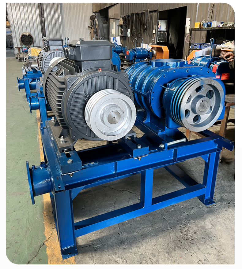 Negative pressure Roots blower