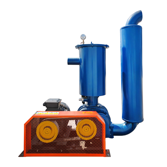 Vacuum Feeding Can Be Customized Vacuum Pump