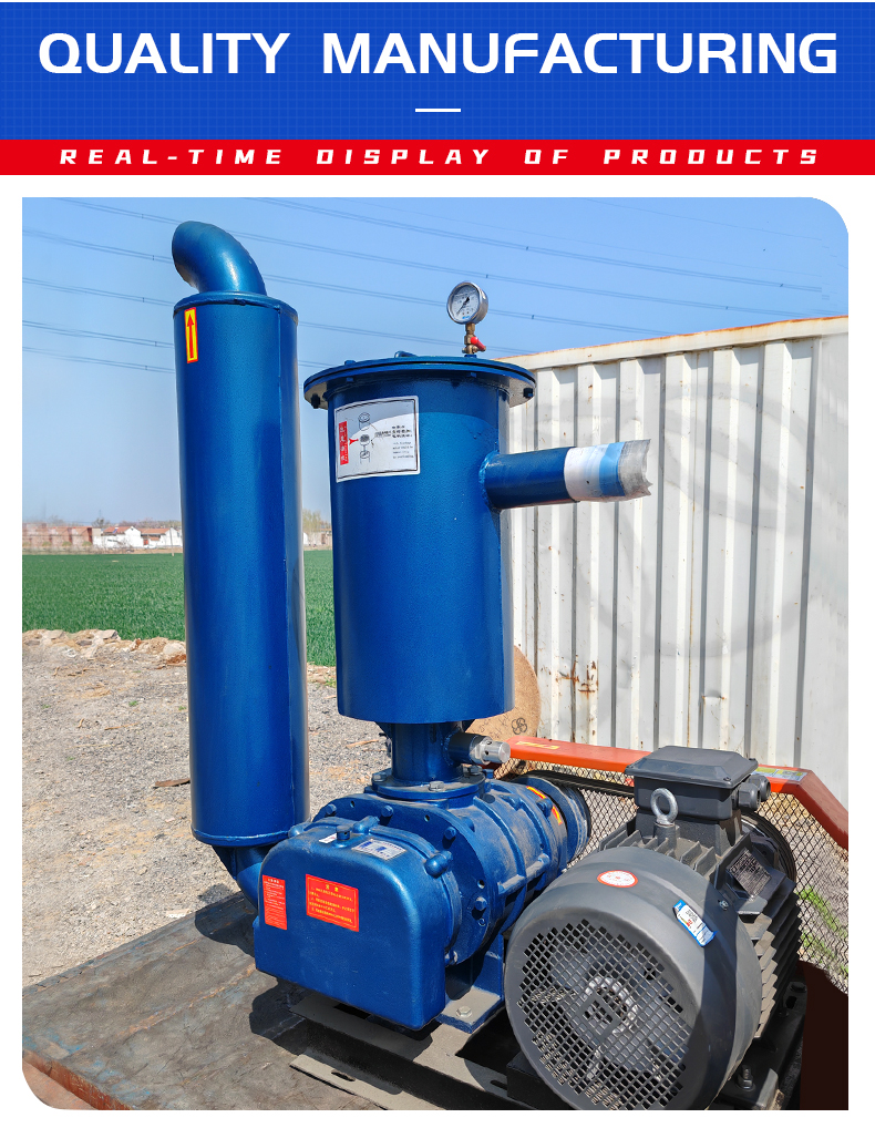 Negative pressure Roots blower