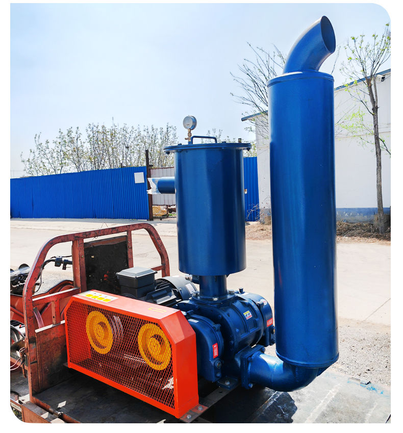 Negative pressure Roots blower