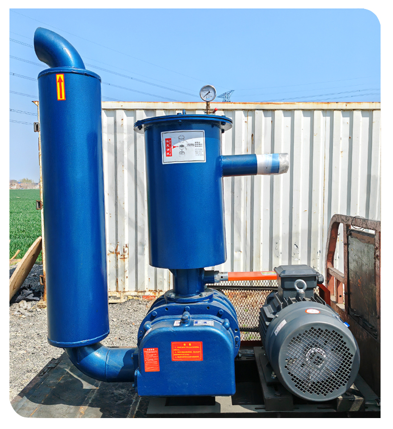 Negative pressure Roots blower