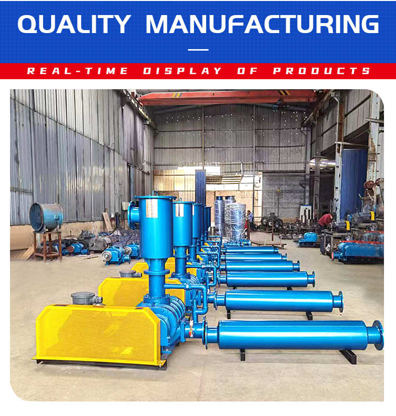 Explosion-proof Roots Blower