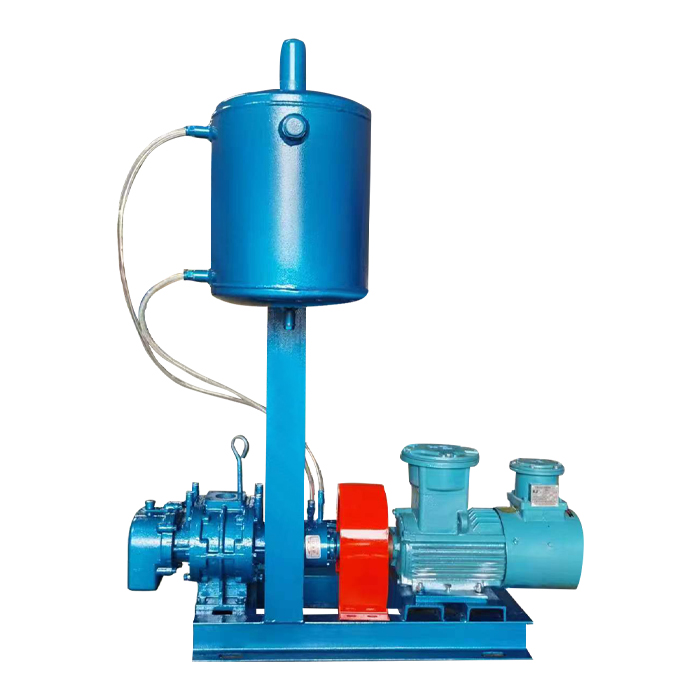 Special gas transmission power station high pressure Roots fan