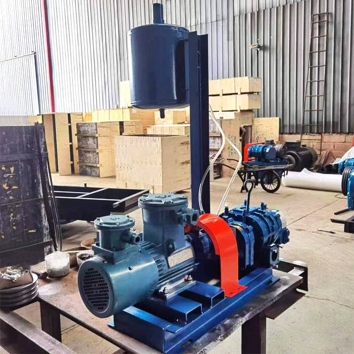 Special gas transmission power station high pressure Roots fan
