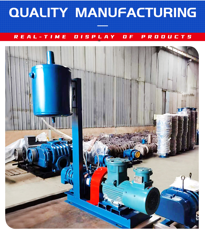 High Pressure Roots Blower