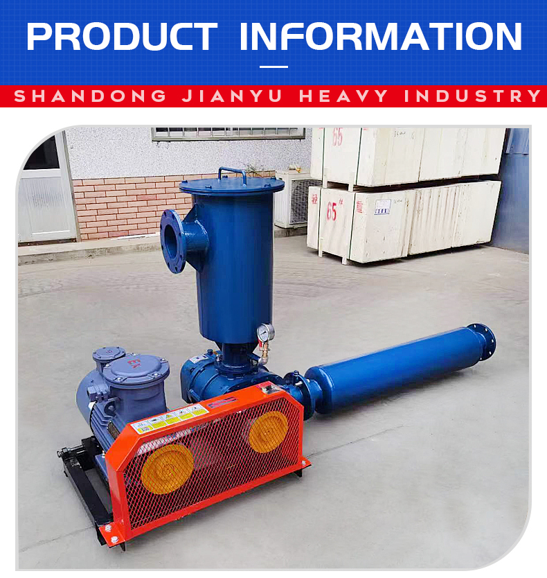 Two-leaf Roots Blower