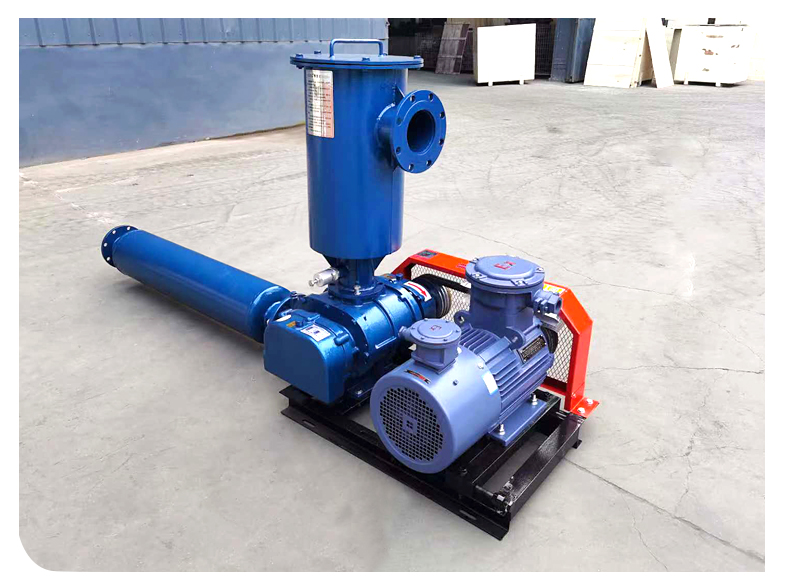 Two-leaf Roots Blower