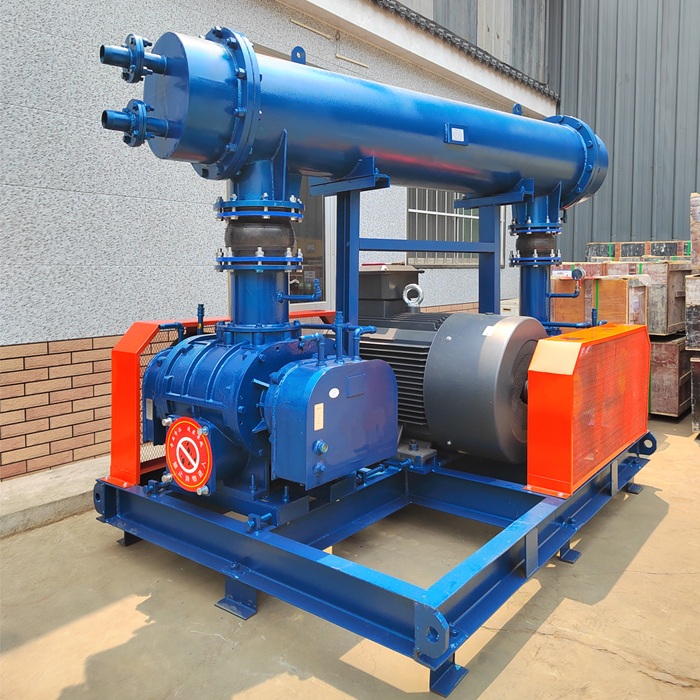 Desulphurization High Pressure Bipolar Series Roots Fan