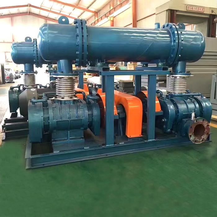 Desulphurization High Pressure Bipolar Series Roots Fan