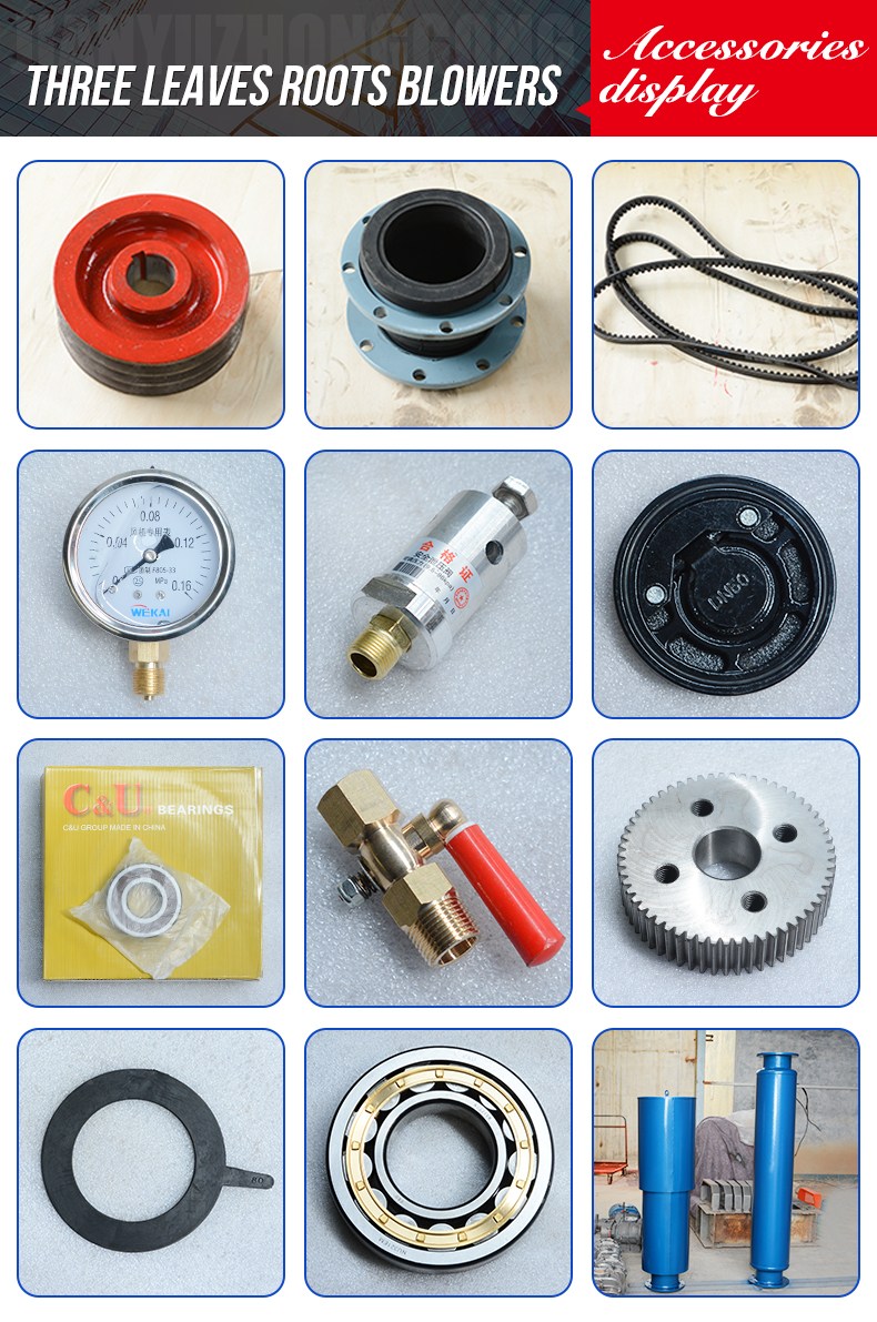 Bipolar tandem Roots Blower